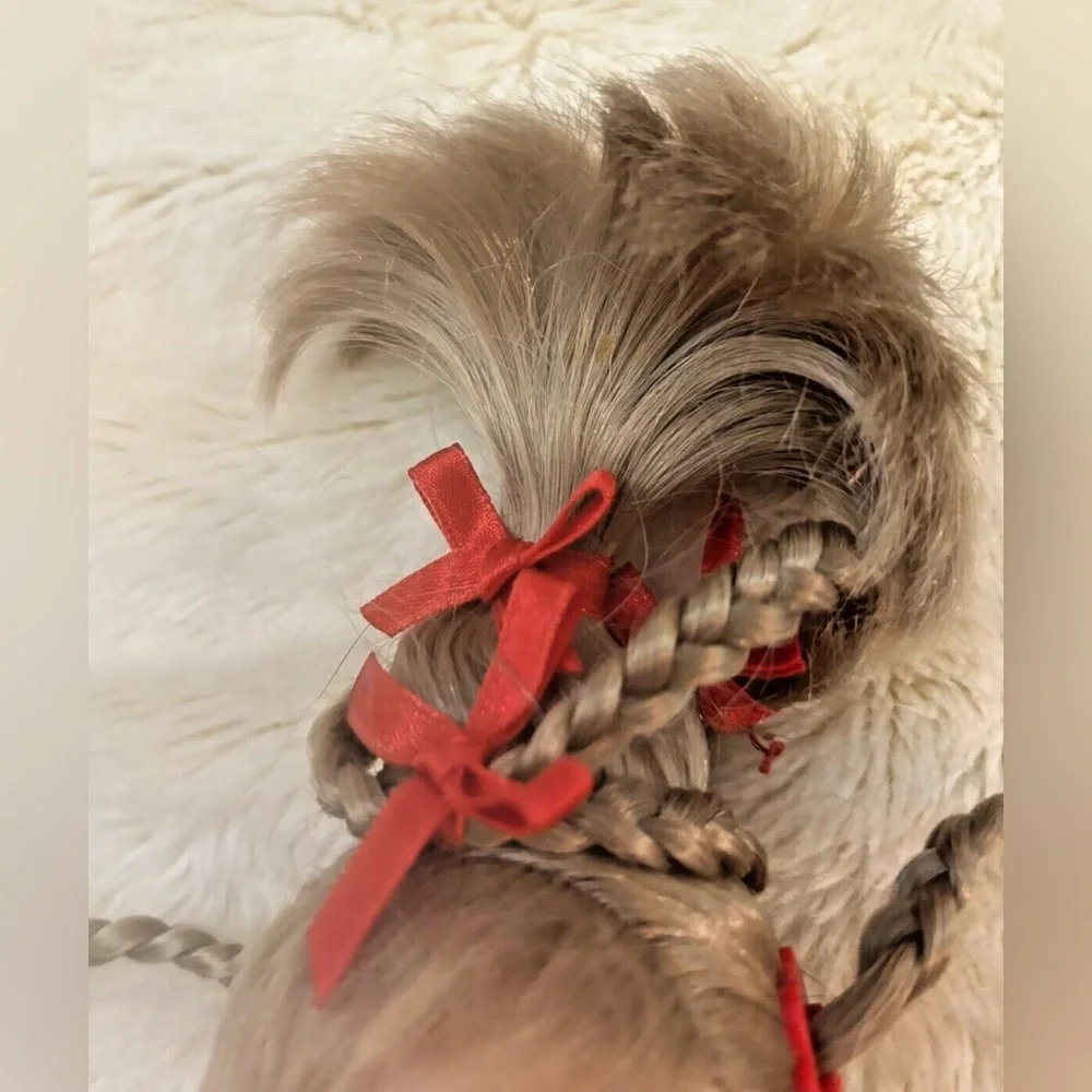 Cindy Lou Who Soft Body Doll Twirling Braids Dr Seuss Grinch 2000 Playmates Toys - Picture 3 of 10